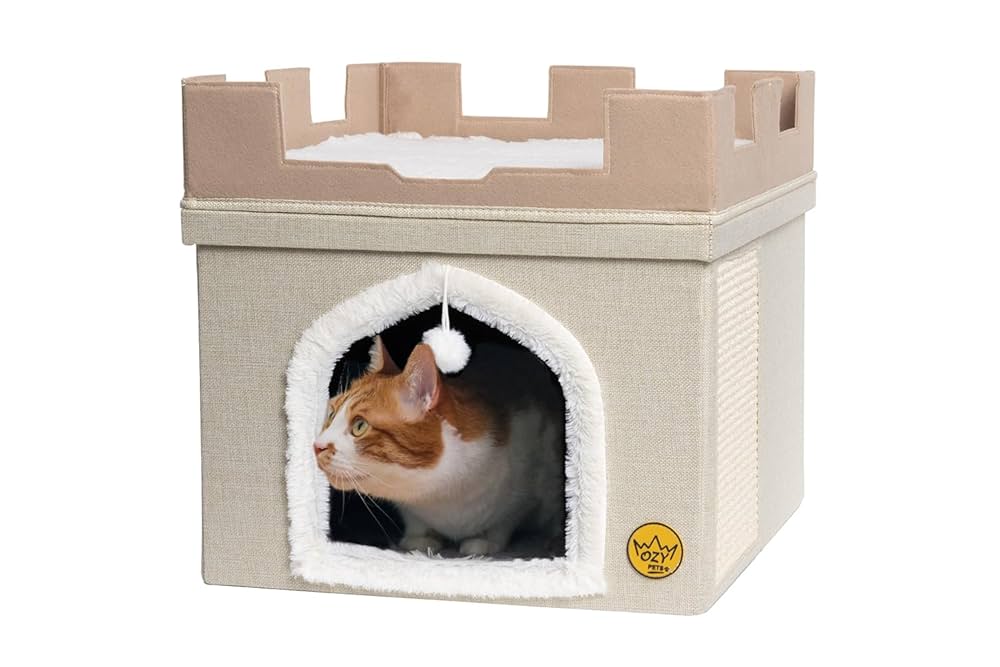 CAT★ Graves Motorsports Cat-Back Carbon Slip-On - Kawasaki ZX-4RR